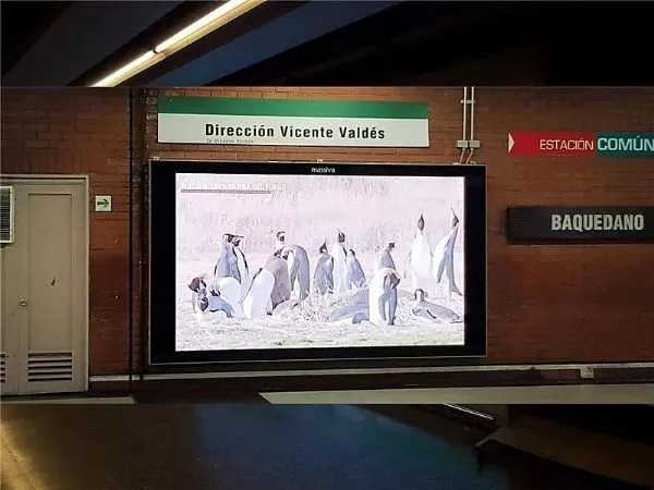 這些<a href=http://m.zisens.com target=_blank class=infotextkey>led屏</a>就一個(gè)字 3.webp.jpg 這些<a href=http://m.zisens.com target=_blank class=infotextkey>led屏</a>就一個(gè)字 3.webp.jpg